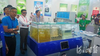 第二屆河北省旅發(fā)大會(huì)觀摩活動(dòng)精彩紛呈，會(huì)議及展覽服務(wù)彰顯文旅新風(fēng)貌